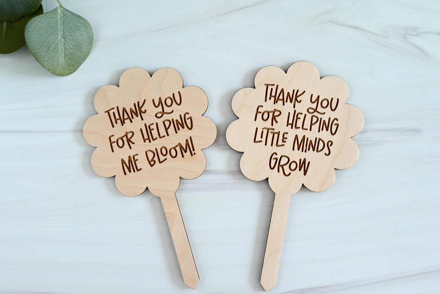 Teacher Plant Stake Gift | Thank You Teacher Plant Marker | Teacher Appreciation Gift | End of Year Teacher Gift