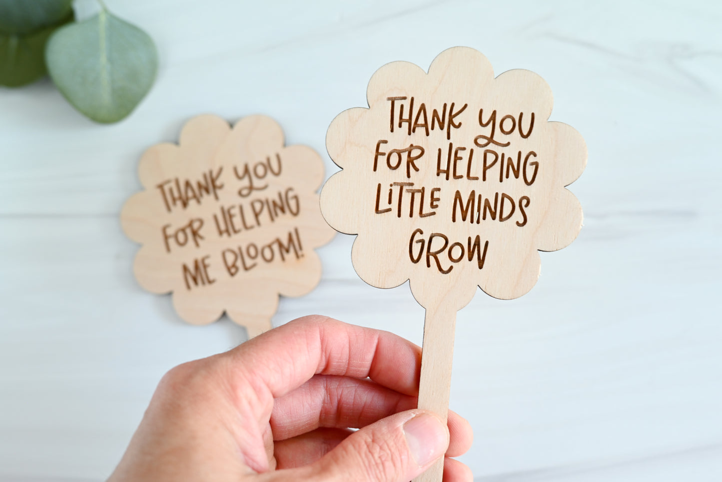 Teacher Plant Stake Gift | Thank You Teacher Plant Marker | Teacher Appreciation Gift | End of Year Teacher Gift