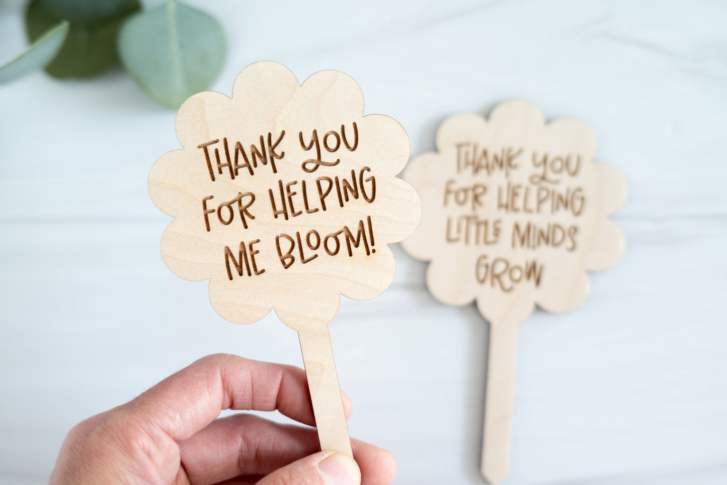 Teacher Plant Stake Gift | Thank You Teacher Plant Marker | Teacher Appreciation Gift | End of Year Teacher Gift