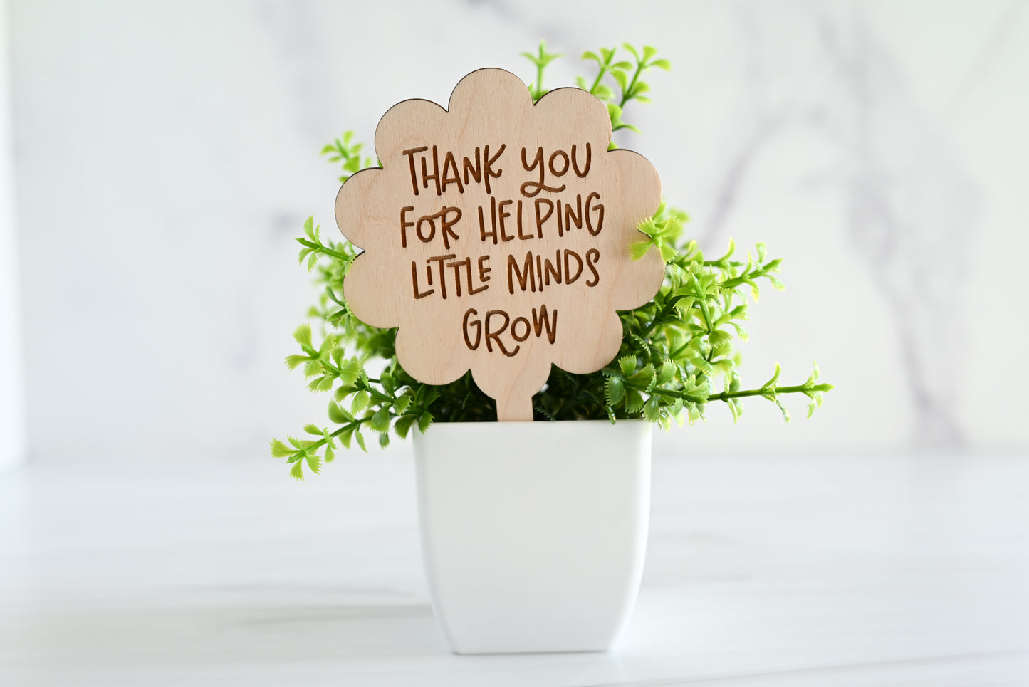 Teacher Plant Stake Gift | Thank You Teacher Plant Marker | Teacher Appreciation Gift | End of Year Teacher Gift