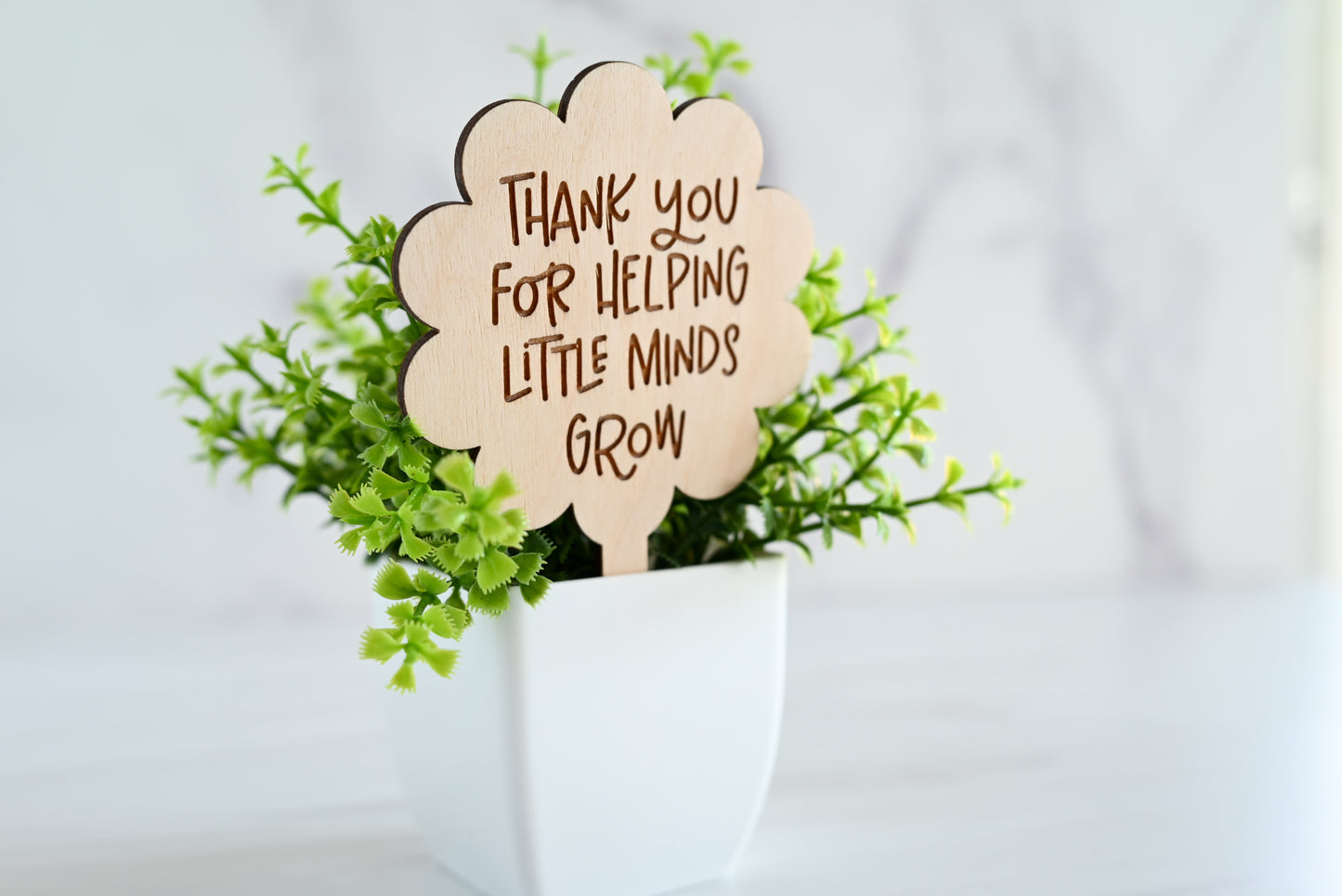 Teacher Plant Stake Gift | Thank You Teacher Plant Marker | Teacher Appreciation Gift | End of Year Teacher Gift