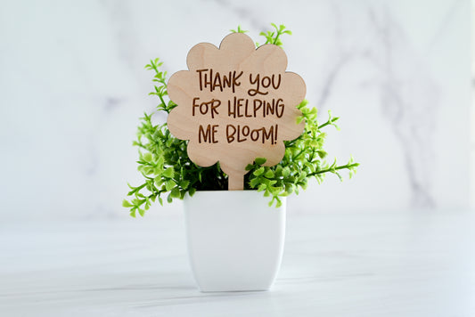 Teacher Plant Stake Gift | Thank You Teacher Plant Marker | Teacher Appreciation Gift | End of Year Teacher Gift