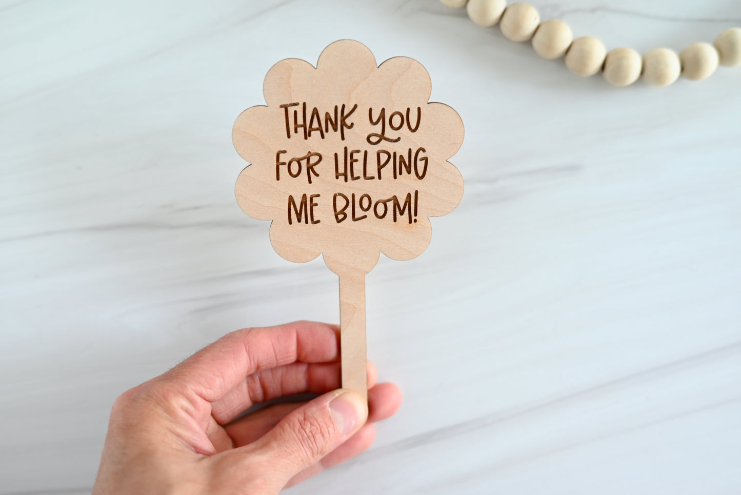 Teacher Plant Stake Gift | Thank You Teacher Plant Marker | Teacher Appreciation Gift | End of Year Teacher Gift