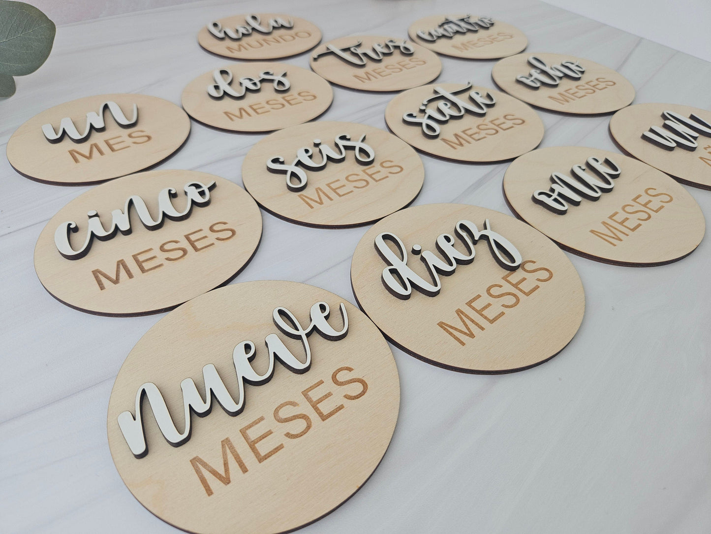 Monthly Milestone Markers in Spanish | Baby Milestone Cards | Gift for New Baby | Baby Hospital Sign | Monthly Milestone Baby