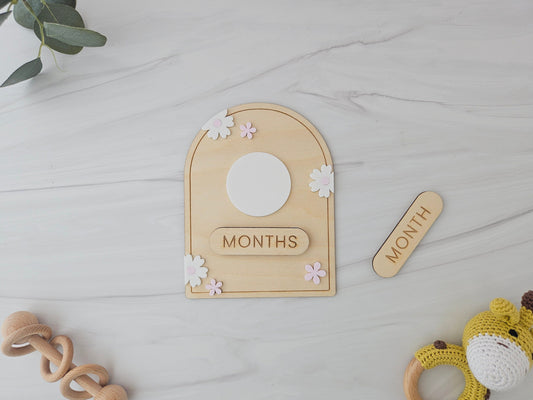 Dry Erase Monthly Milestone | Baby Milestone | Baby Shower Gift | Baby Announcement Sign